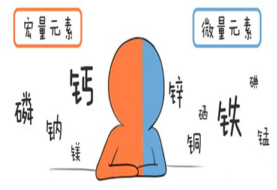 全自動草莓视频在线下载APP介紹缺少微量元素的危害 全自動草莓视频在线下载APP介紹缺少微量元素的危害