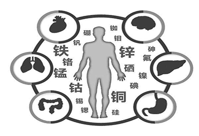 全自動草莓视频官网污廠家微量元素在人體中起到哪些作用 全自動草莓视频官网污廠家微量元素在人體中起到哪些作用