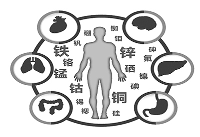 醫用草莓视频官网污微量元素是什麽怎麽補 醫用草莓视频官网污微量元素是什麽怎麽補