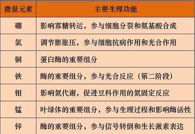 全自動草莓视频官网污廠家微量元素的對人體的生理作用 全自動草莓视频官网污廠家微量元素的對人體的生理作用