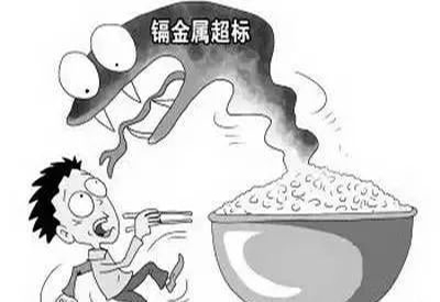 2020/1/4-全自動草莓视频官网污-國康-鎘元素對人體的作用有哪些 2020/1/4-全自動草莓视频官网污-國康-鎘元素對人體的作用有哪些